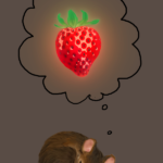 strawberry-dream